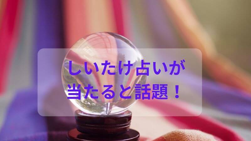 【驚愕】しいたけ占い2025上半期が当たりすぎ？的中率がすごいの声